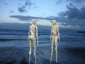 vanitatis Plage